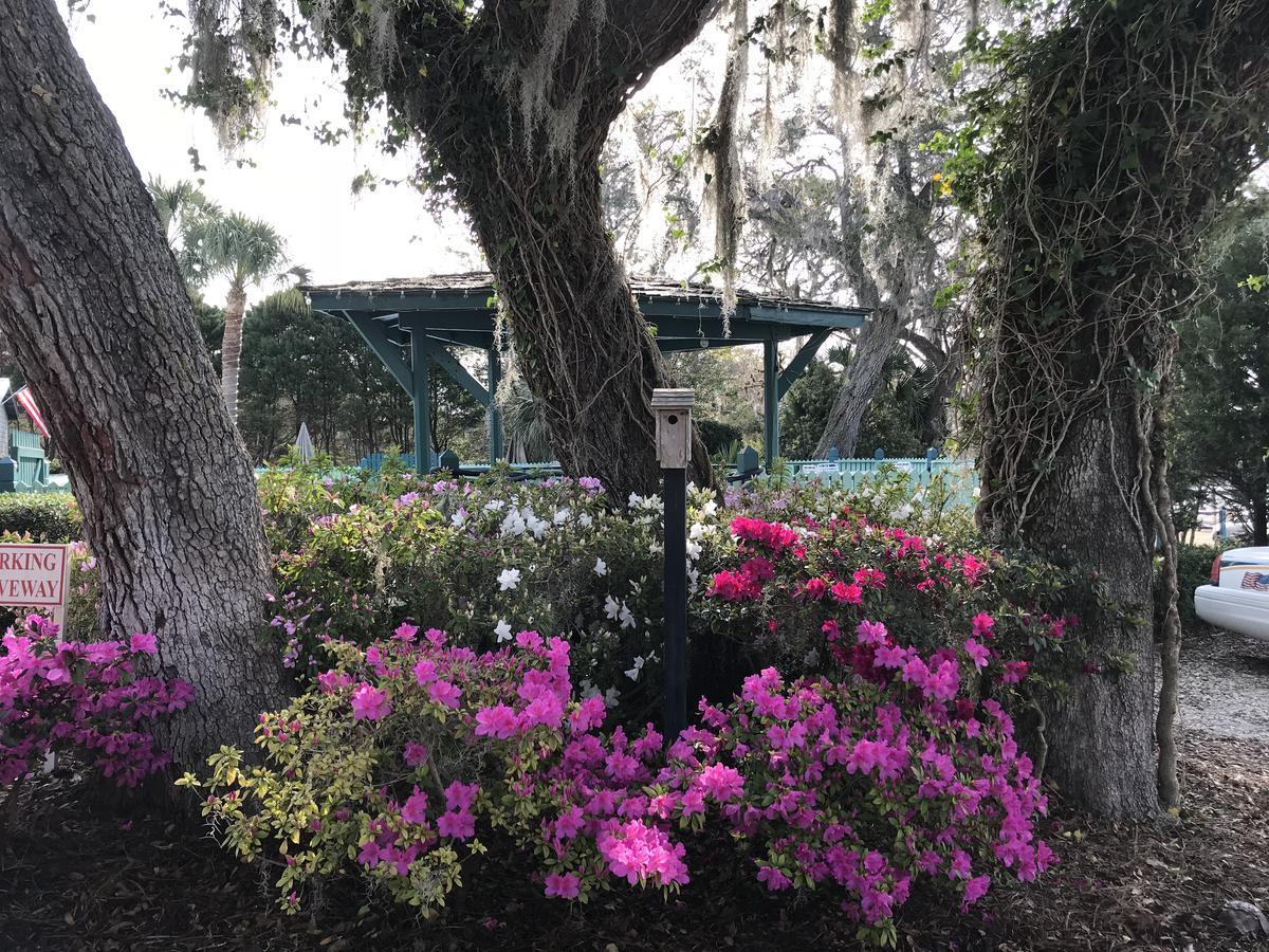 Steinhatchee River Inn And Marina Exteriér fotografie